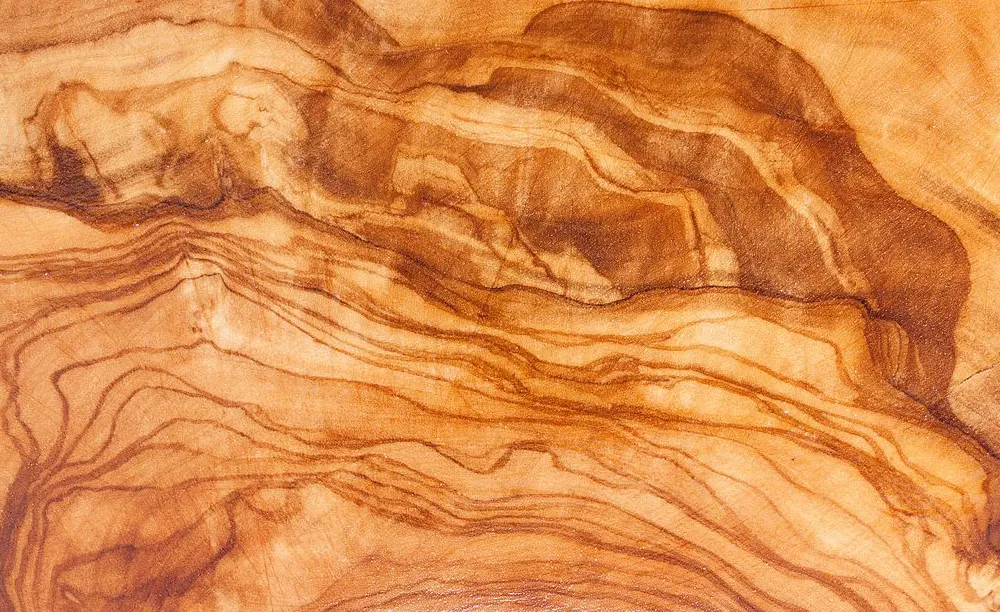Olivové drevo - detail