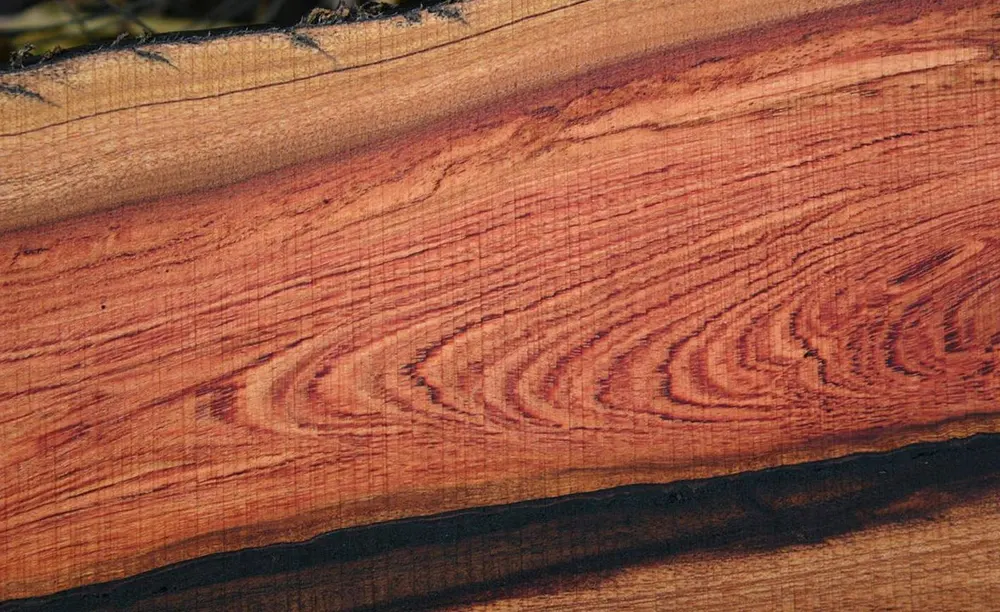 Palisandrové drevo - detail